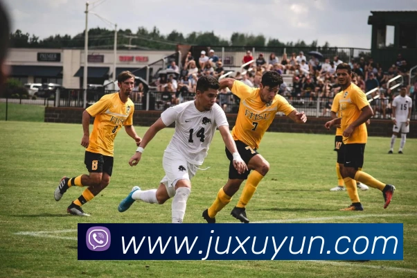 多媒体互动体验